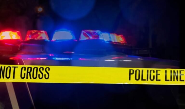 Corie Walsh Frankfort IL Obituary, Death - 2-year-old Killed In Domestic Homicide